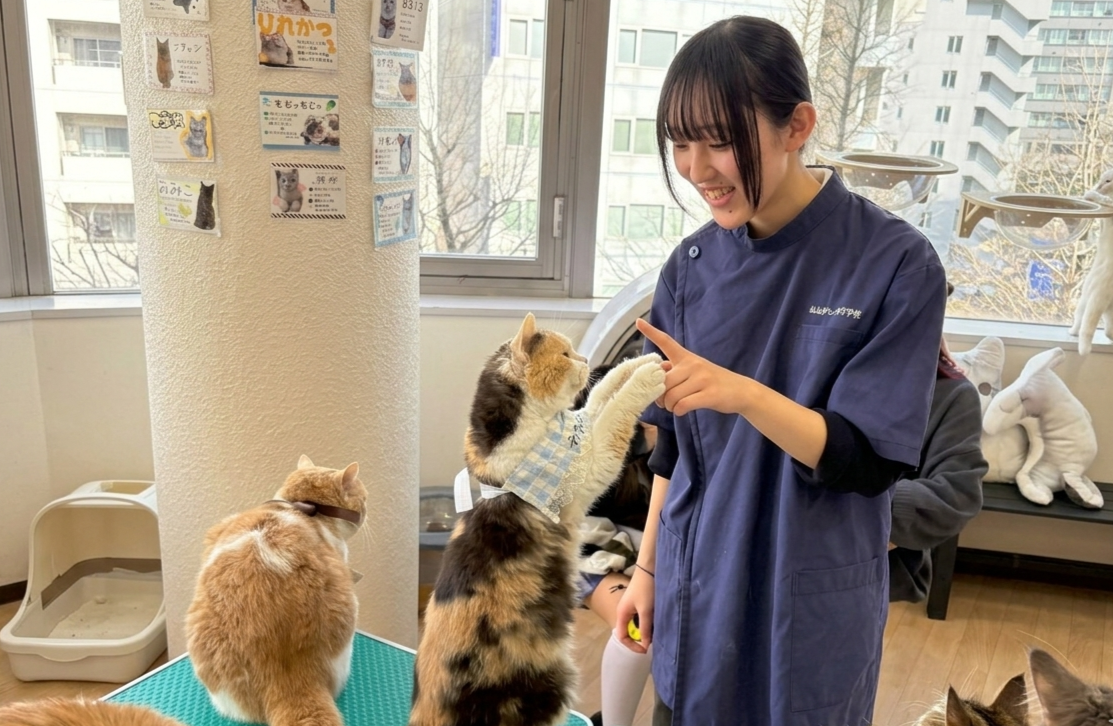サブ画像