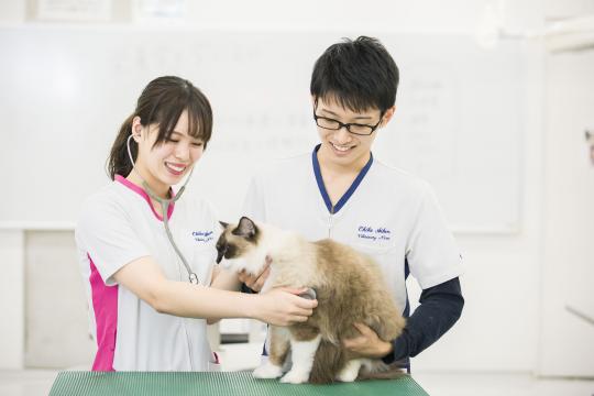 動物看護学生が必要そうな物！ 楽天市場】第2版 ビジュアルで学ぶ動物看護学 臨床につなげる
