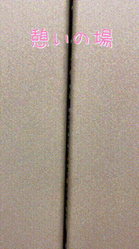 OCカメラサムネイル画像