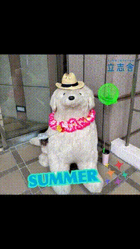 OCカメラサムネイル画像
