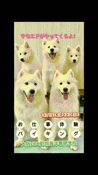 OCカメラサムネイル画像