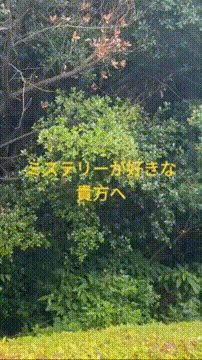 OCカメラサムネイル画像