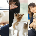 専門学校　福岡ビジョナリーアーツ 【ペット】ワンコと一緒によくばり体験