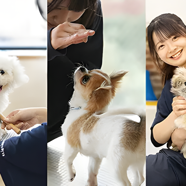 専門学校　福岡ビジョナリーアーツ 【ペット】ワンコと一緒によくばり体験1