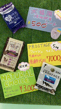 OCカメラサムネイル画像