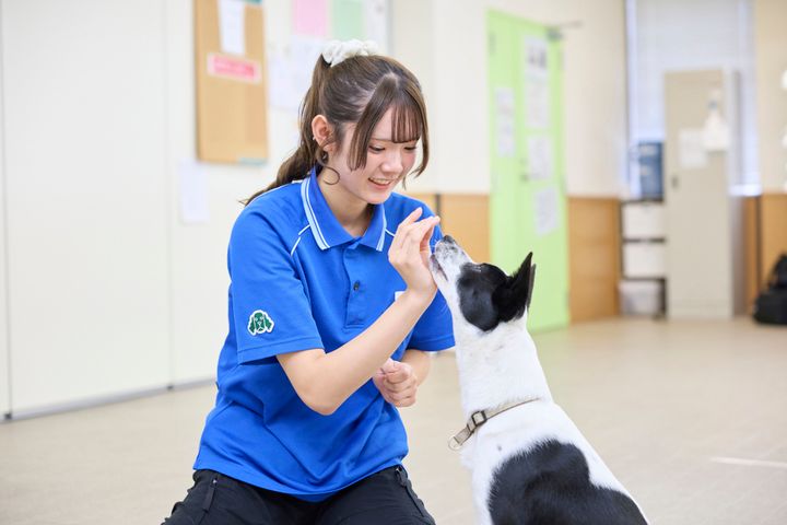 サブ画像