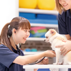 専門学校　福岡ビジョナリーアーツ 【ペット】お仕事体験DAY!動物看護師 体験