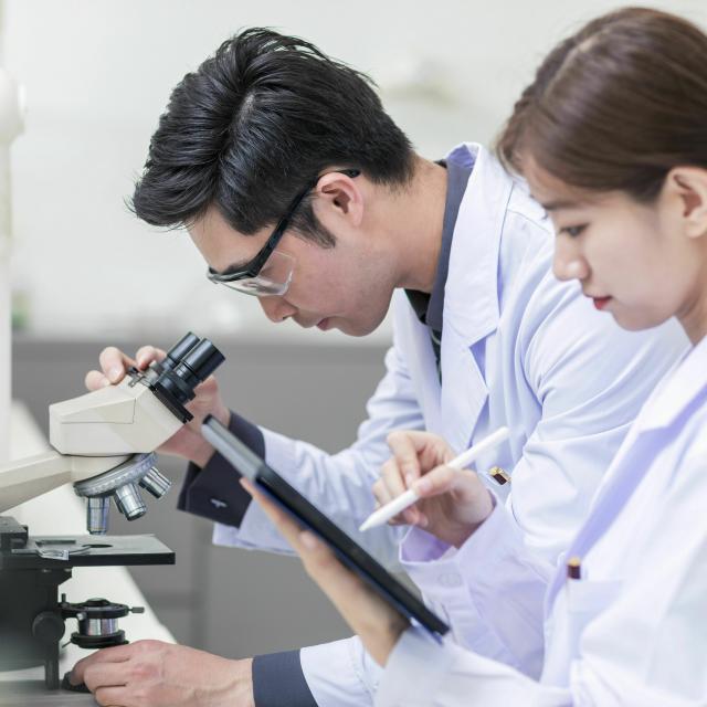専門学校 東京テクニカルカレッジ 【データサイエンス+AI科】AIで微生物を検出しよう1