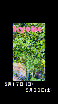 OCカメラサムネイル画像