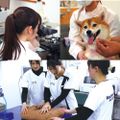 愛知ペット専門学校 愛玩動物看護師　健康チェック＆投薬＆緊急対応SP