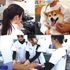 愛知ペット専門学校 愛玩動物看護師SP　緊急救命を体験しよう1