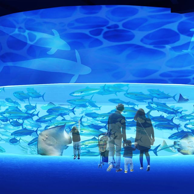 せとうち観光専門職短期大学 【山キャンin屋島】屋島水族館の裏側を見学！3