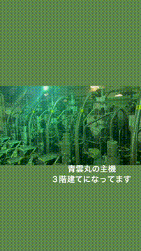 OCカメラサムネイル画像