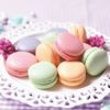 札幌ベルエポック製菓調理専門学校 【スイーツ★じっくり体験DAY】マカロン