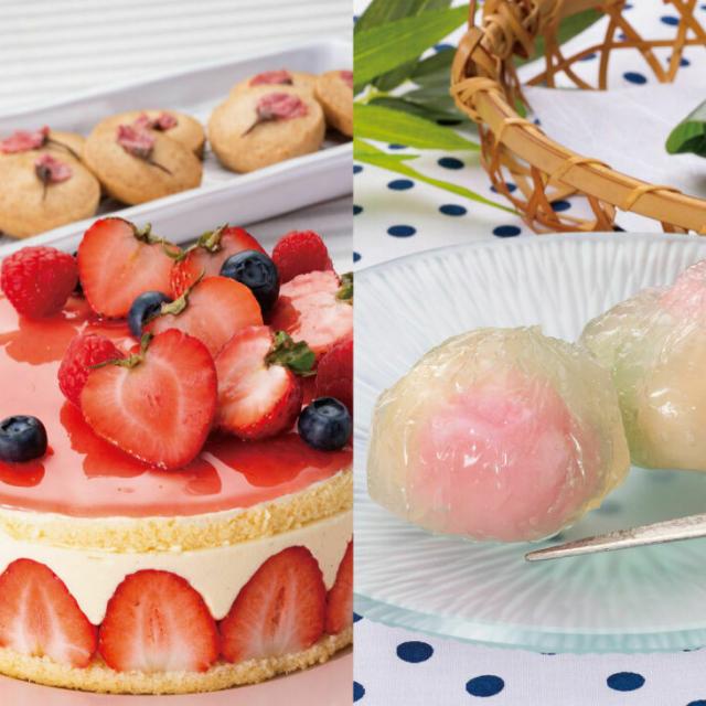 日本菓子専門学校 【1日】製菓体験コース1