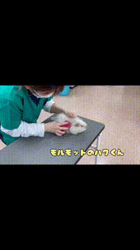 OCカメラサムネイル画像