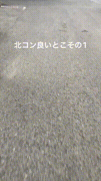 OCカメラサムネイル画像