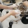静岡アルス美容専門学校 即戦力教育「シャンプー」の体験！