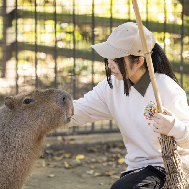 中央動物看護専門学校 [１１月１５日]職業体験オープンキャンパス！1