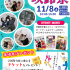 ＫＣＳ福岡情報専門学校 KCSの学園祭【咲鈴祭】に参加しよう1