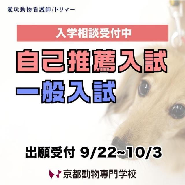 京都動物専門学校 【自己推薦入試・一般入試用】2026年4月入学生の入学相談会1