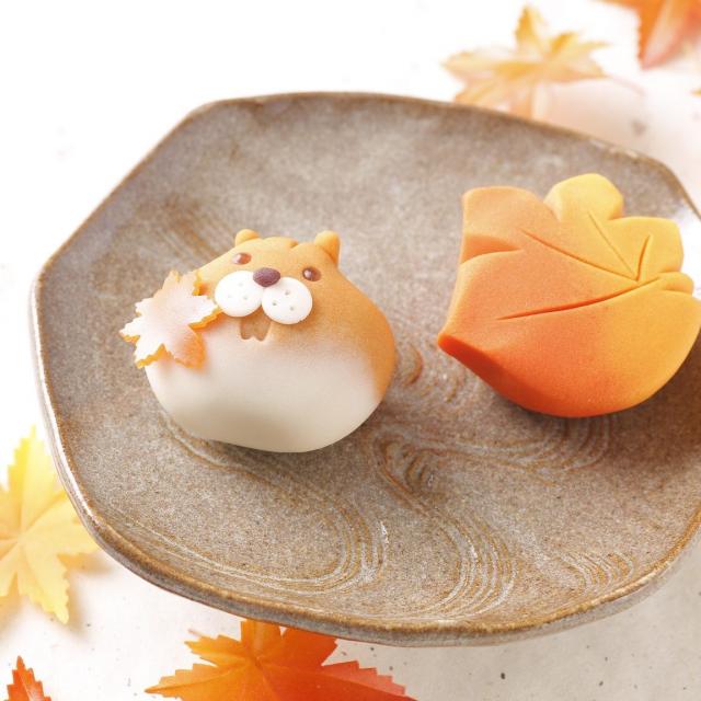 東京製菓学校 11月18日のスペシャル体験入学 【和菓子コース】1