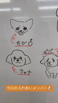 OCカメラサムネイル画像