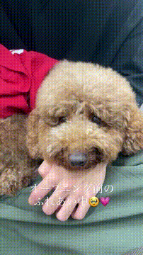 OCカメラサムネイル画像
