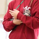 エキゾのきもち！の詳細