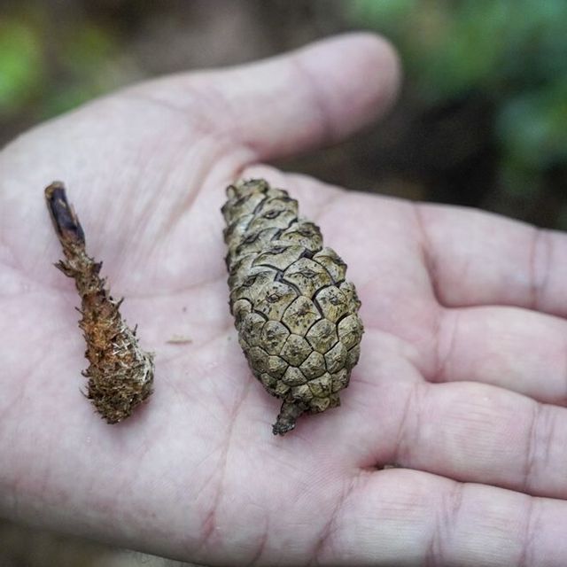 東京環境工科専門学校 『森に残された、動物たちの記憶』特別授業を同時開催！2
