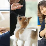 人気の３専攻 よくばり体験！【ワンコ】の詳細