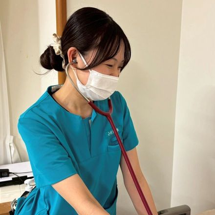 卒業後のキャリア画像