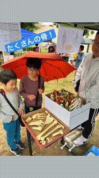 OCカメラサムネイル画像