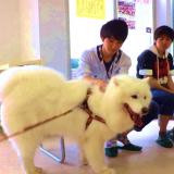 詳細を見る
