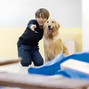 専門学校　福岡ビジョナリーアーツ 【ペット】災害救助犬とトレーニング体験