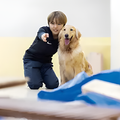 専門学校　福岡ビジョナリーアーツ 【ペット】災害救助犬とトレーニング体験