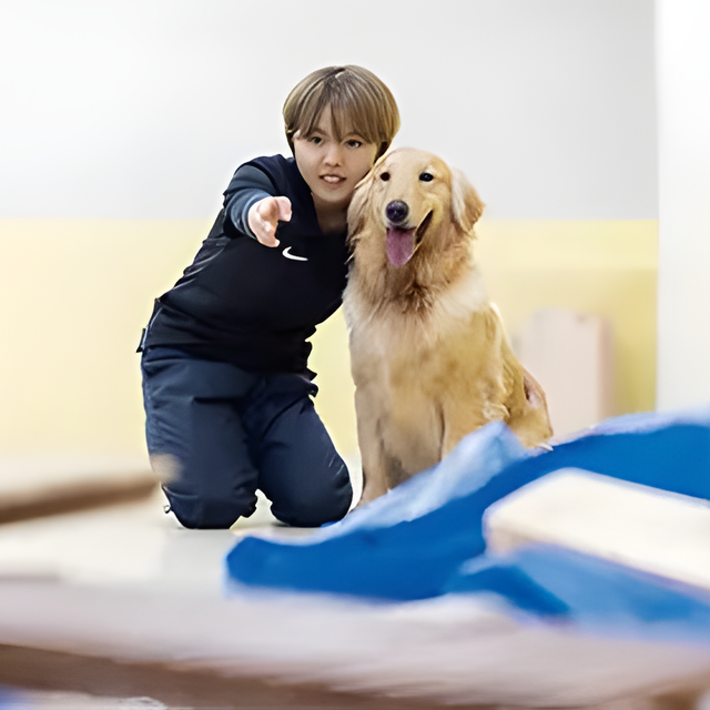 専門学校　福岡ビジョナリーアーツ 【ペット】災害救助犬とトレーニング体験1