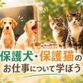 ＴＣＡ東京ＥＣＯ動物海洋専門学校 保護犬・保護猫のお仕事について学ぼう