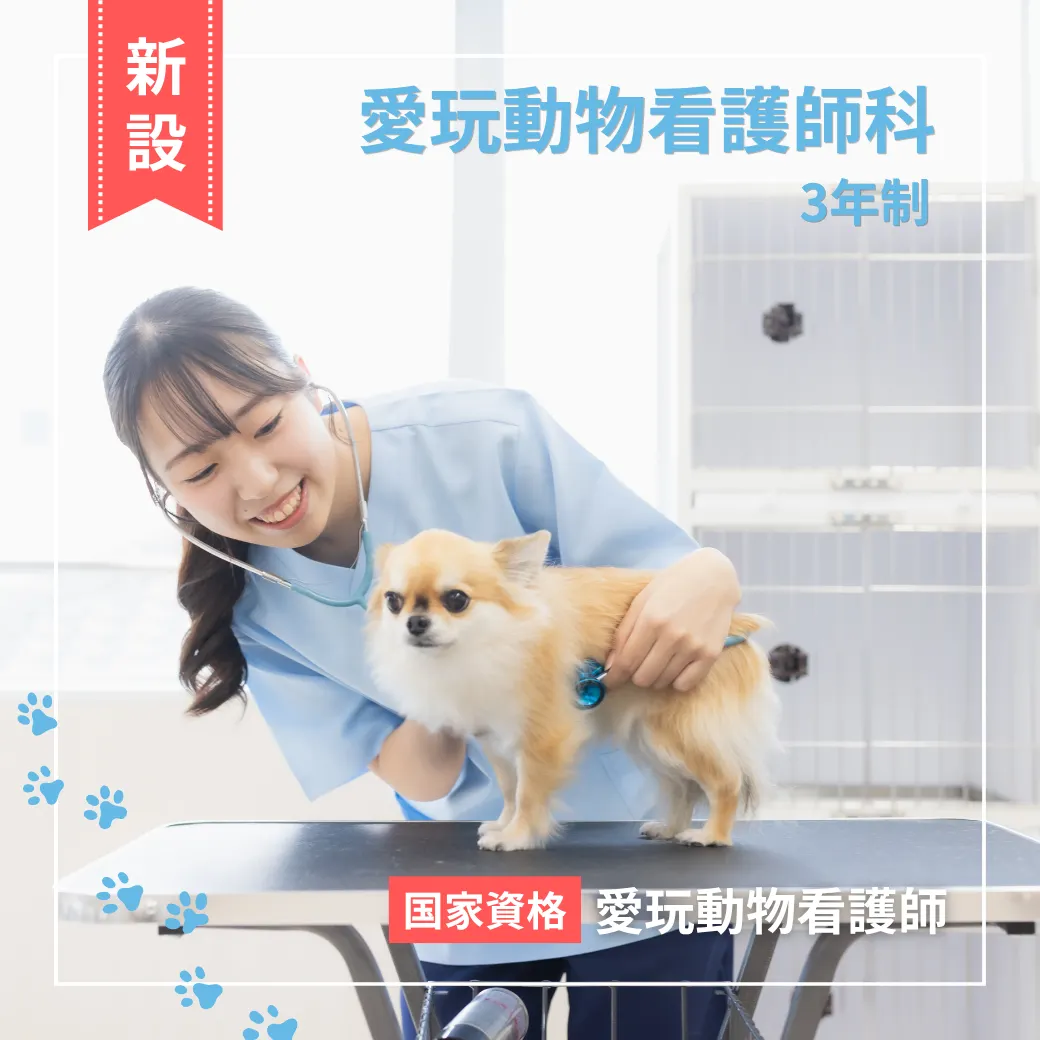 新潟ペット動物専門学校 | 資料請求・願書請求・学校案内【スタディ