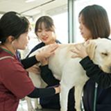 動物の看護×理学の詳細