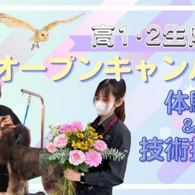専門学校 ちば愛犬動物フラワー学園 【高1.2限定】オープンキャンパス~体験&技術披露~1