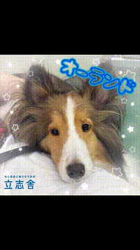 OCカメラサムネイル画像