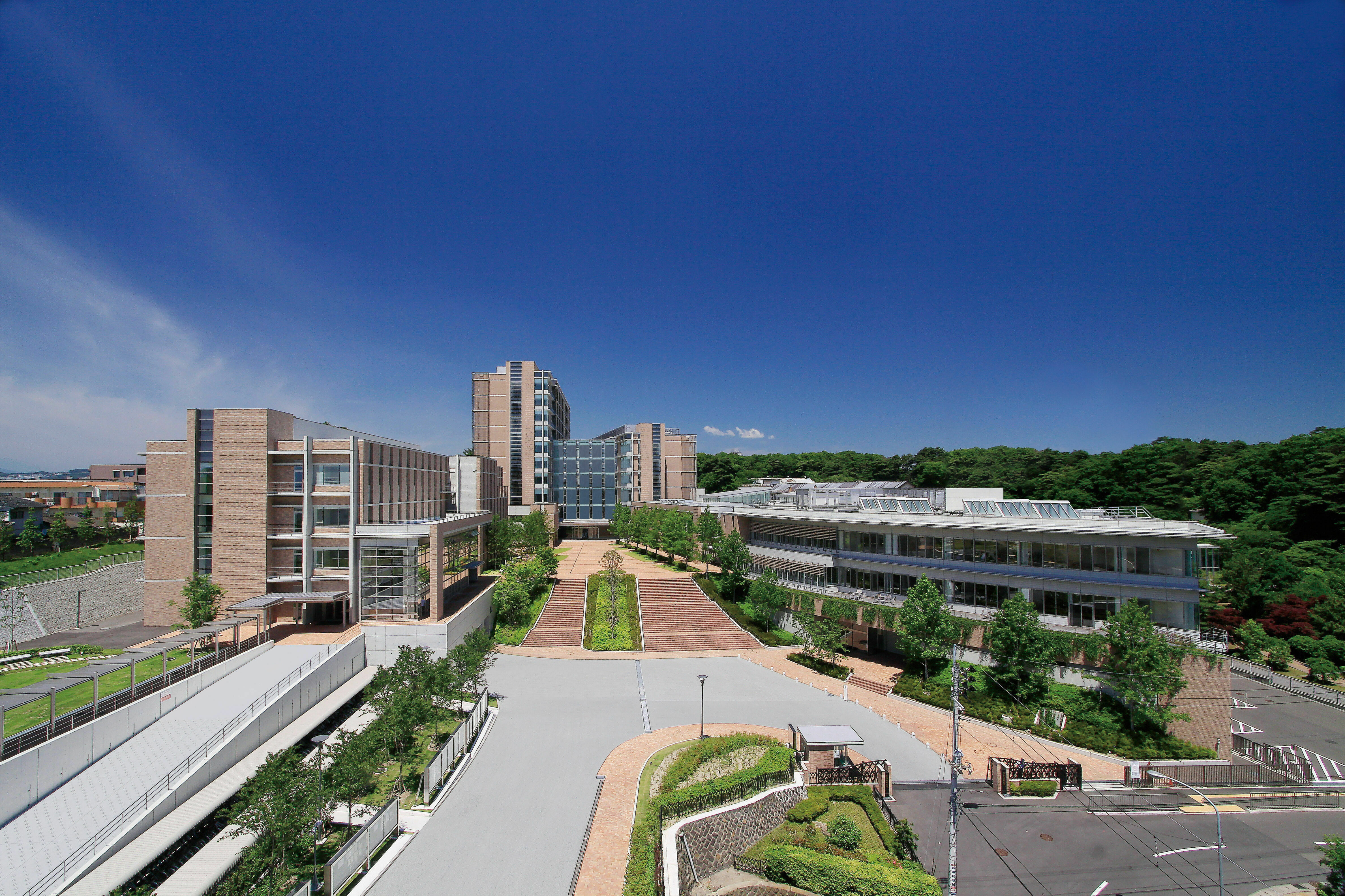 東北 医科 薬科 大学