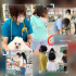 愛犬美容看護専門学校 2026【保護者も大歓迎】個別保護者面談で不安・心配解消！1