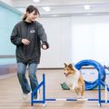 【ドッグトレーナー】ワンちゃんのトレーニングを体験しよう！／名古屋ＥＣＯ動物海洋専門学校