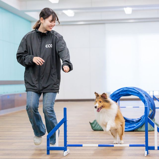 名古屋ＥＣＯ動物海洋専門学校 【ドッグトレーナー】ワンちゃんのトレーニングを体験しよう！1