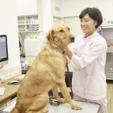 オープンキャンパス!ワンちゃんが一人でお留守番!飼い主の工夫の詳細