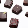 専門学校ビジョナリーアーツ チョコレートの食べ比べ＆ボンボンショコラ