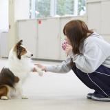 【動物飼育トレーニング学科】オープンキャンパス2019の詳細