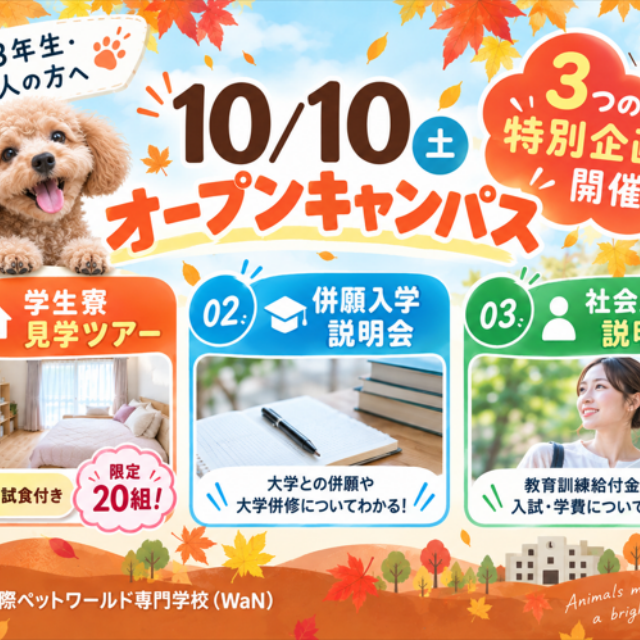 国際ペットワールド専門学校 【10/10(土)】高校3年生・社会人の方向け特別企画開催♪1